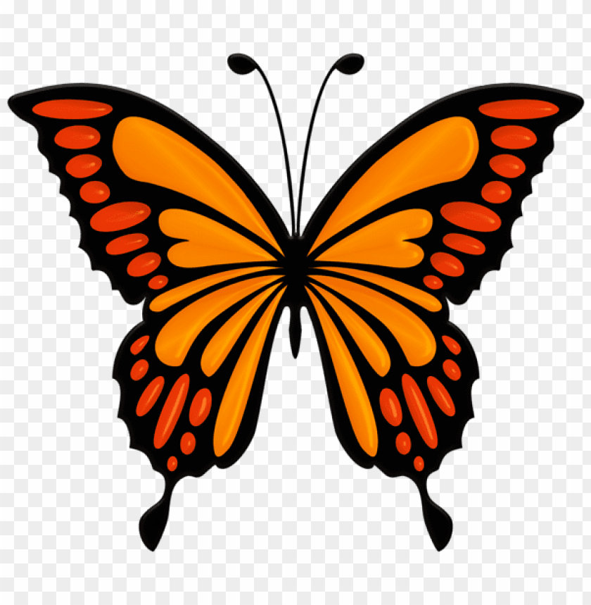 Download Orange Butterfly Clipart Png Photo Toppng - butterfly t shirt roblox png