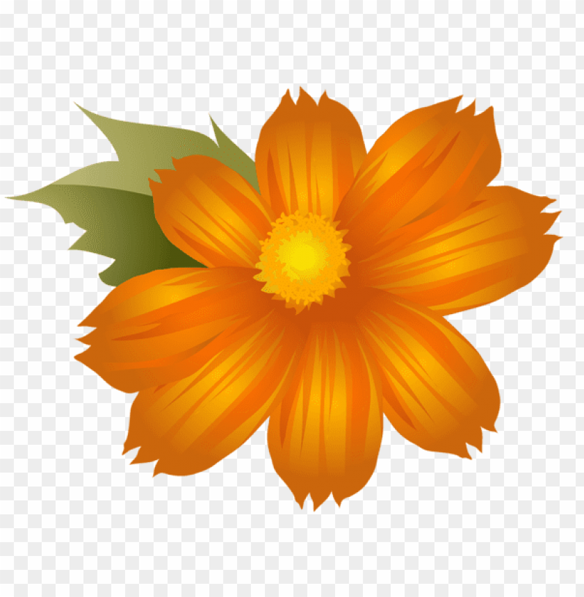 Free Download Hd Png Png Image Of Orange Flower Png Clip Art With A Clear Background Image