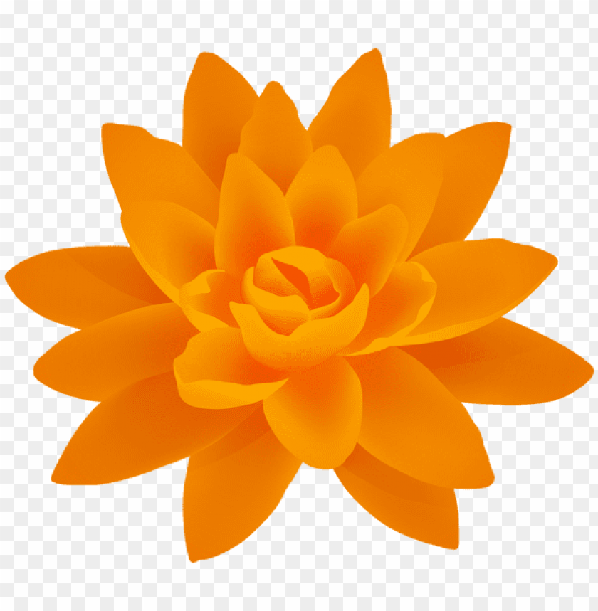 Free download | HD PNG PNG image of orange flower png deco with a clear ...