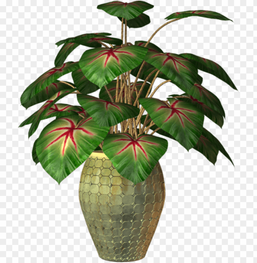 Ot Plant Clipart Transparent Flower Plants In Pot Png Image With