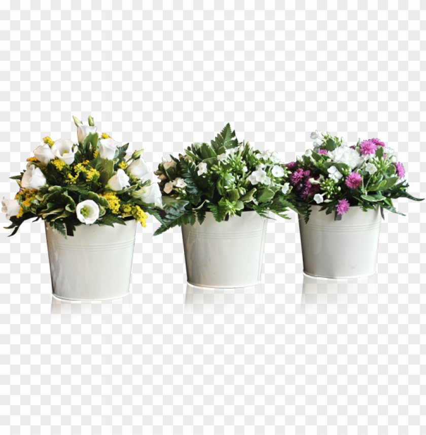 otted plants and flowers png flowers in pot png image with transparent background toppng otted plants and flowers png flowers