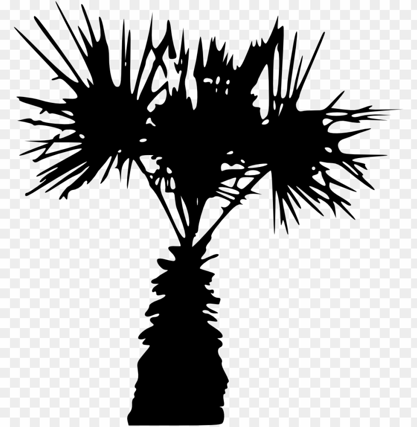 Free download | HD PNG Transparent silhouette of fan palm tree with ...