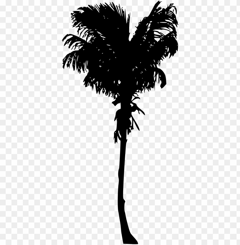 Free download | HD PNG Transparent silhouette of thin palm tree png PNG ...