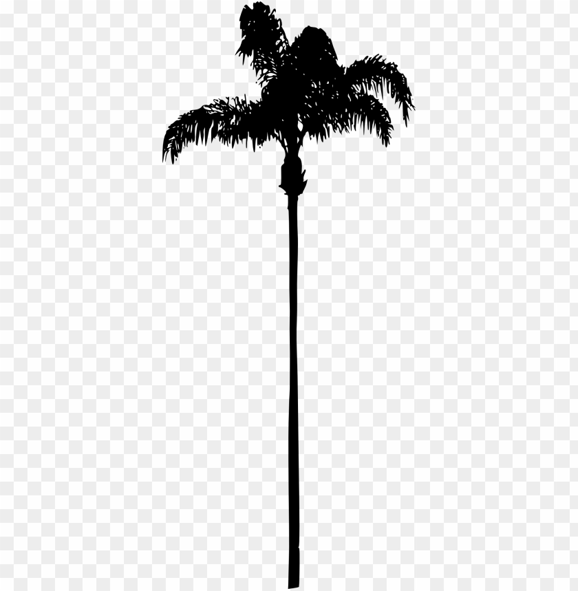 Free download | HD PNG Transparent silhouette of tall palm with spread ...