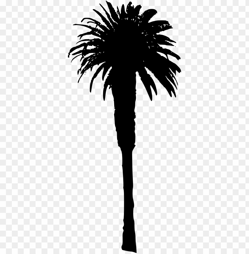 Free download | HD PNG Transparent silhouette of long palm fronds tree ...