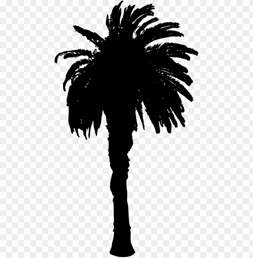 Free download | HD PNG Transparent silhouette of a full palm tree png ...
