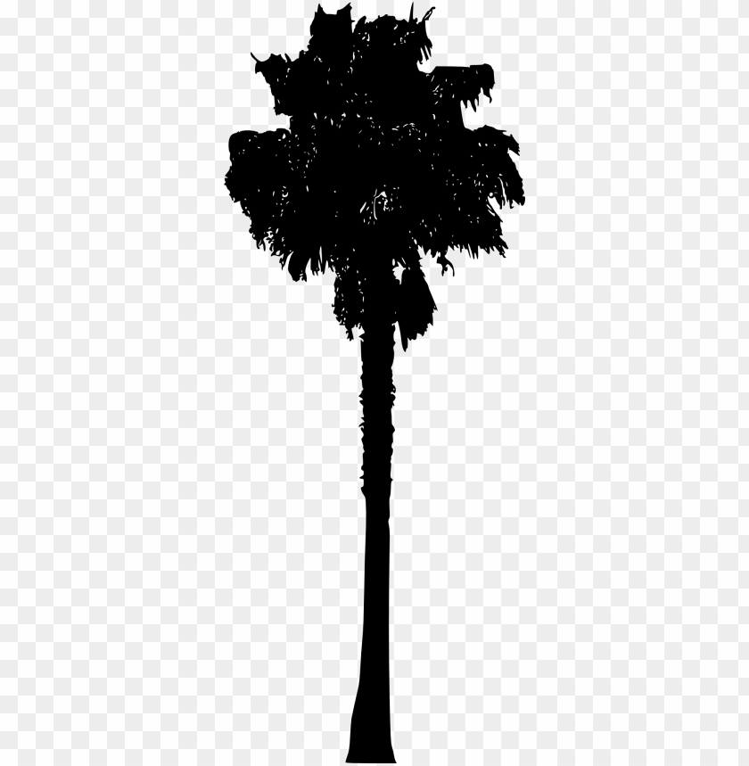 Free download | HD PNG Transparent silhouette of fan palm tree png PNG ...