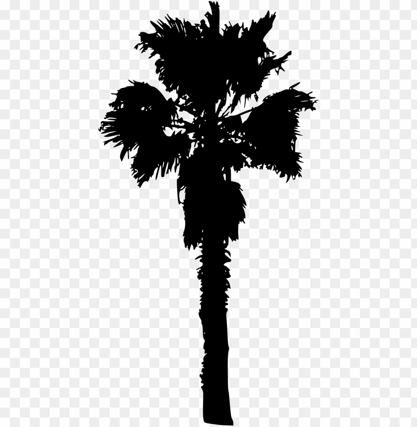 Free download | HD PNG Transparent palm tree PNG Image - ID 4225 | TOPpng