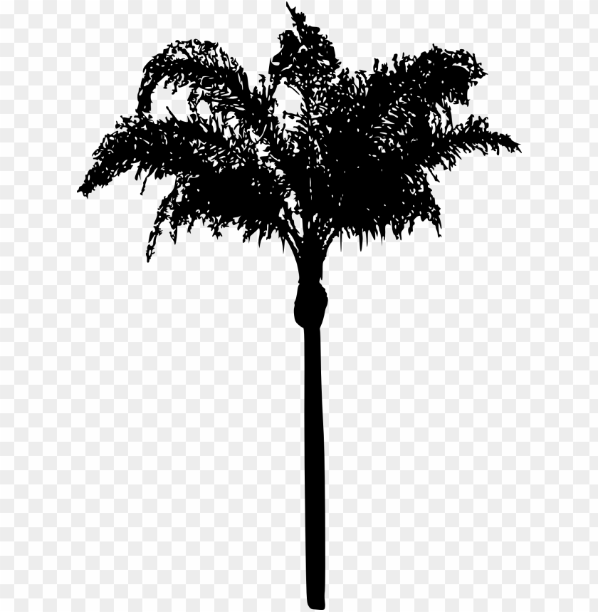 Free download | HD PNG Transparent silhouette of tropical palm tree png ...