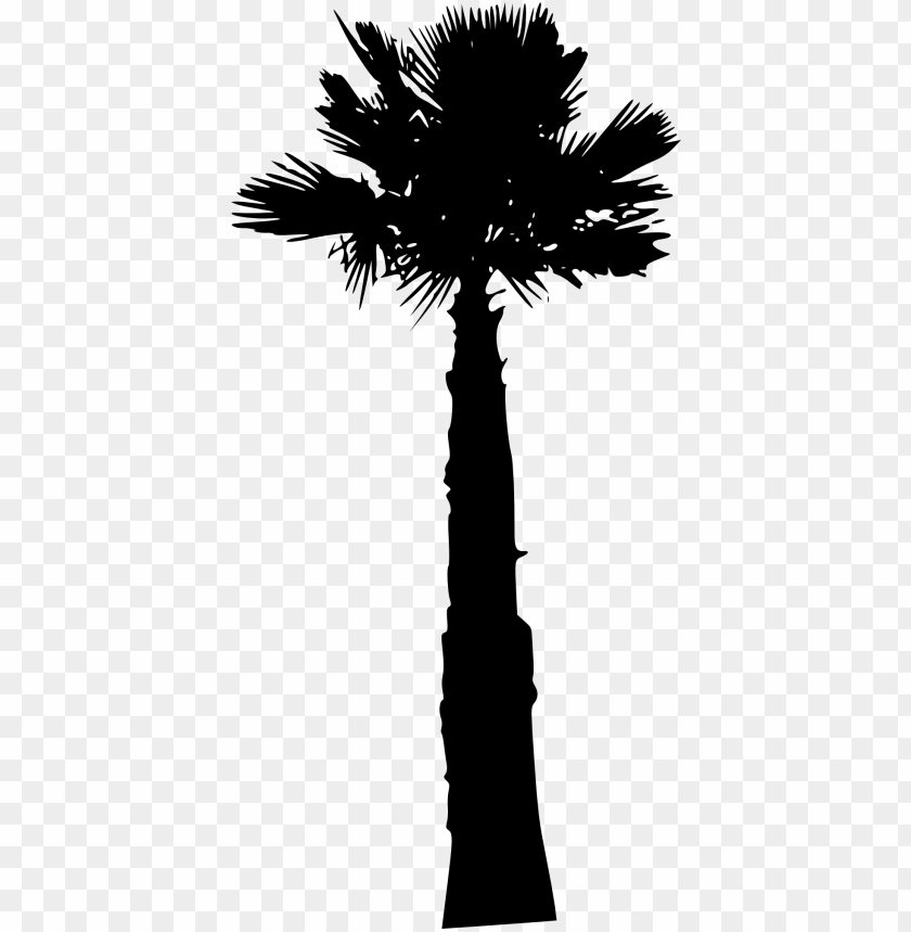 Free download | HD PNG Transparent silhouette of tall palm tree png PNG ...