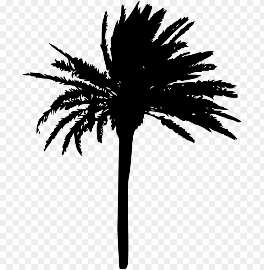 Free download | HD PNG Transparent silhouette of a palm tree with broad ...