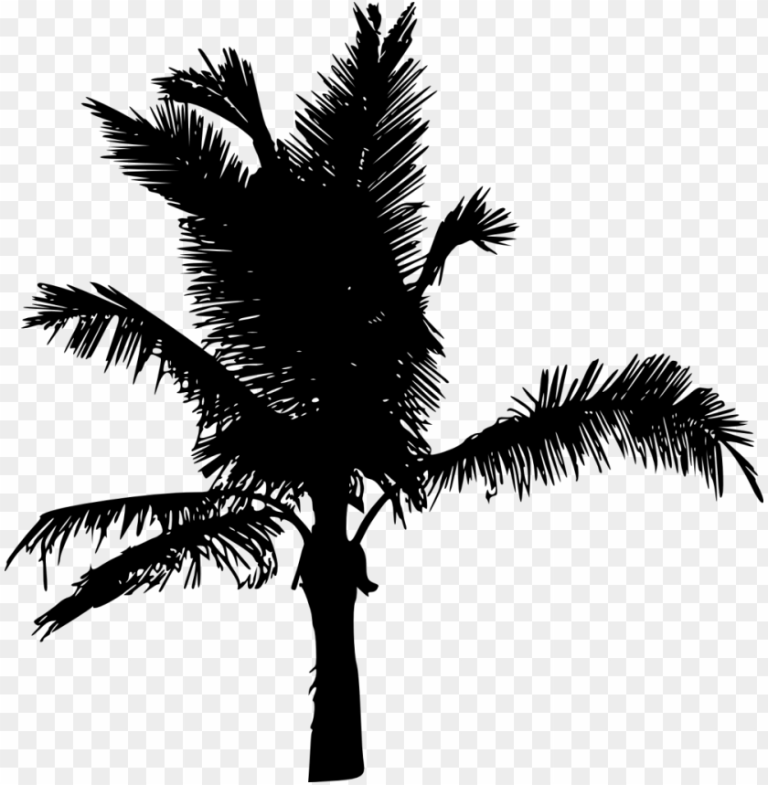 Free download | HD PNG Transparent silhouette of a palm tree with thin ...