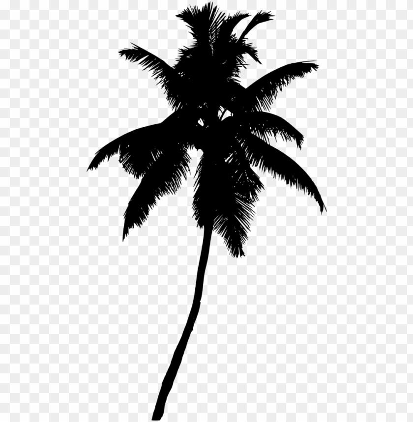 Free download | HD PNG Transparent silhouette of a palm tree with thick ...