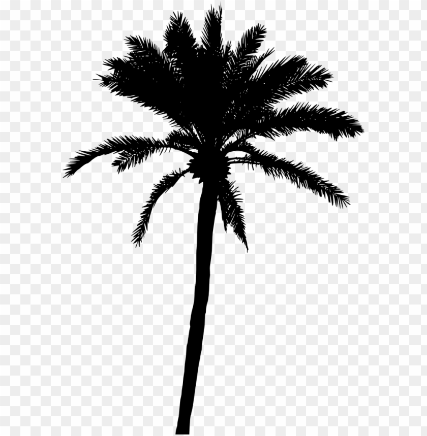 Free download | HD PNG Transparent silhouette of a palm tree with large ...