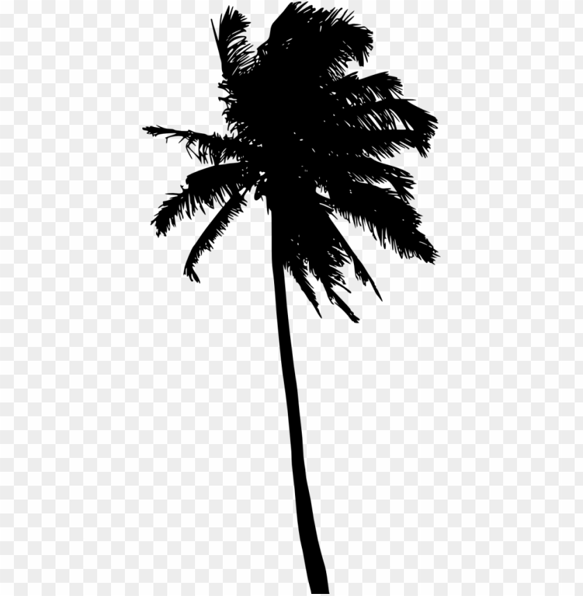 Free download | HD PNG Transparent silhouette of a palm tree with a ...