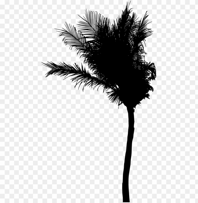Free download | HD PNG Transparent silhouette of a palm tree with ...