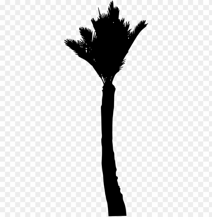 Free download | HD PNG Transparent silhouette of a palm tree with large ...