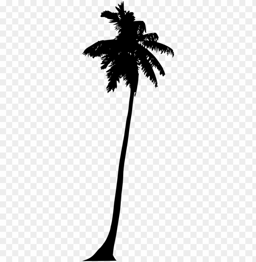 Free download | HD PNG Transparent palm tree silhouette PNG Image - ID ...