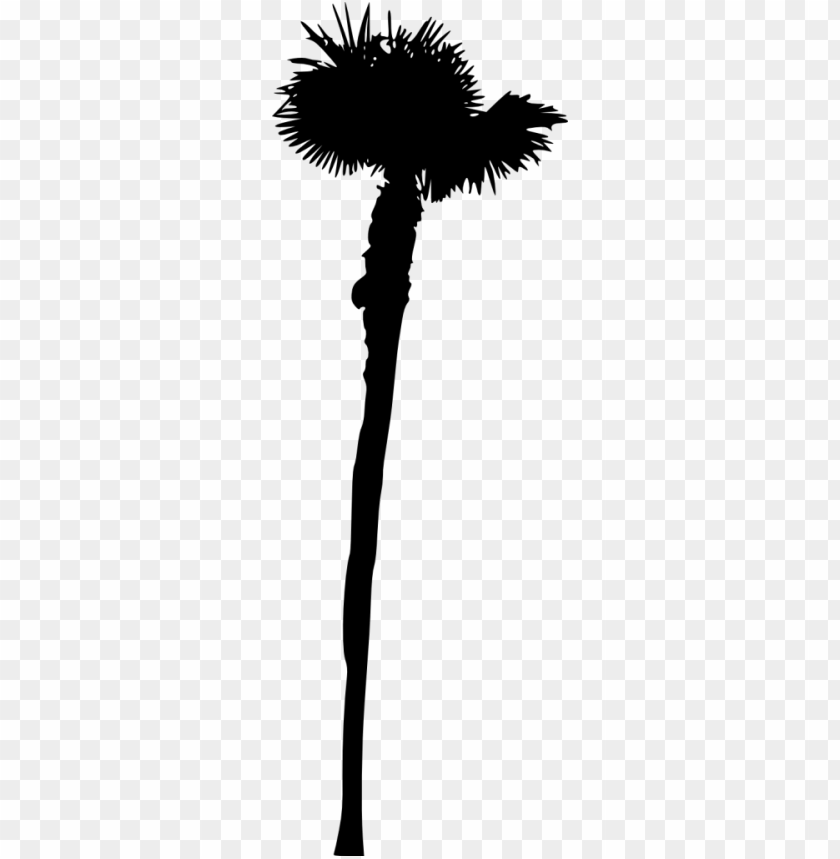 Free download | HD PNG Transparent silhouette of a tall and thin palm ...