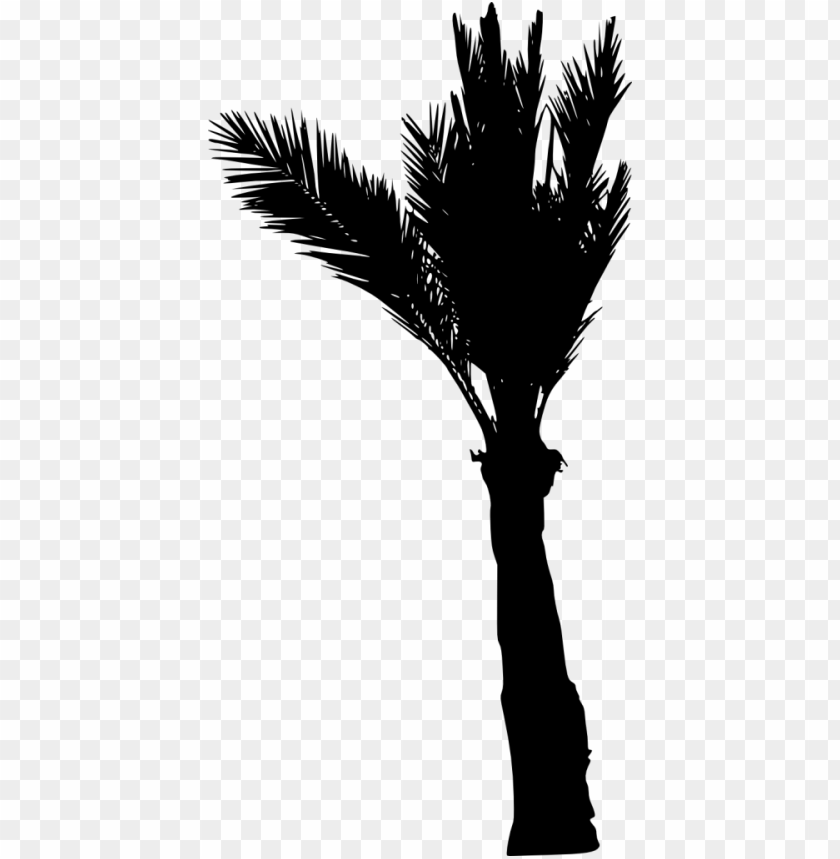 Free download | HD PNG Transparent silhouette of a palm tree with a ...