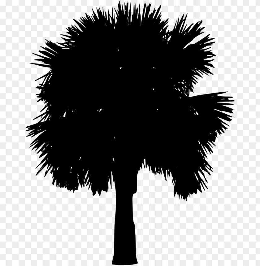 Free download | HD PNG Transparent silhouette of a palm tree with large ...