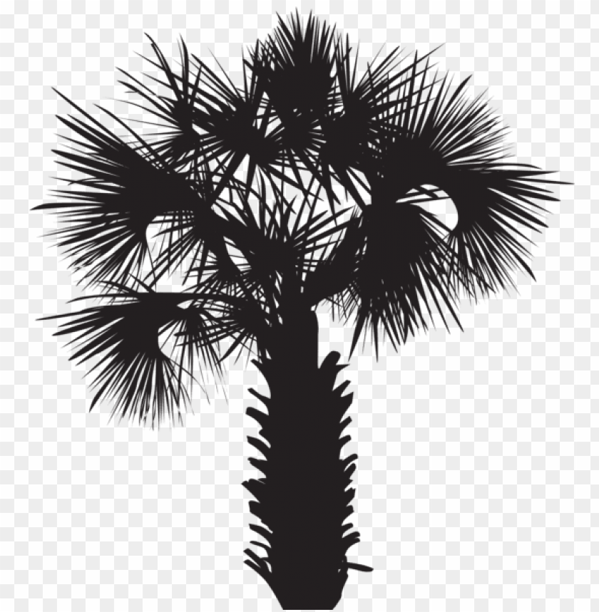 Free download | HD PNG Transparent palm tree silhouette PNG Image - ID ...