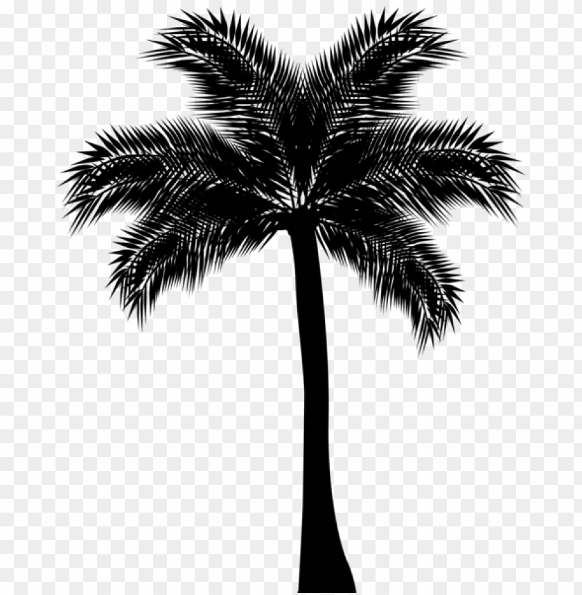 Free download | HD PNG Transparent palm tree silhouette png PNG Image ...
