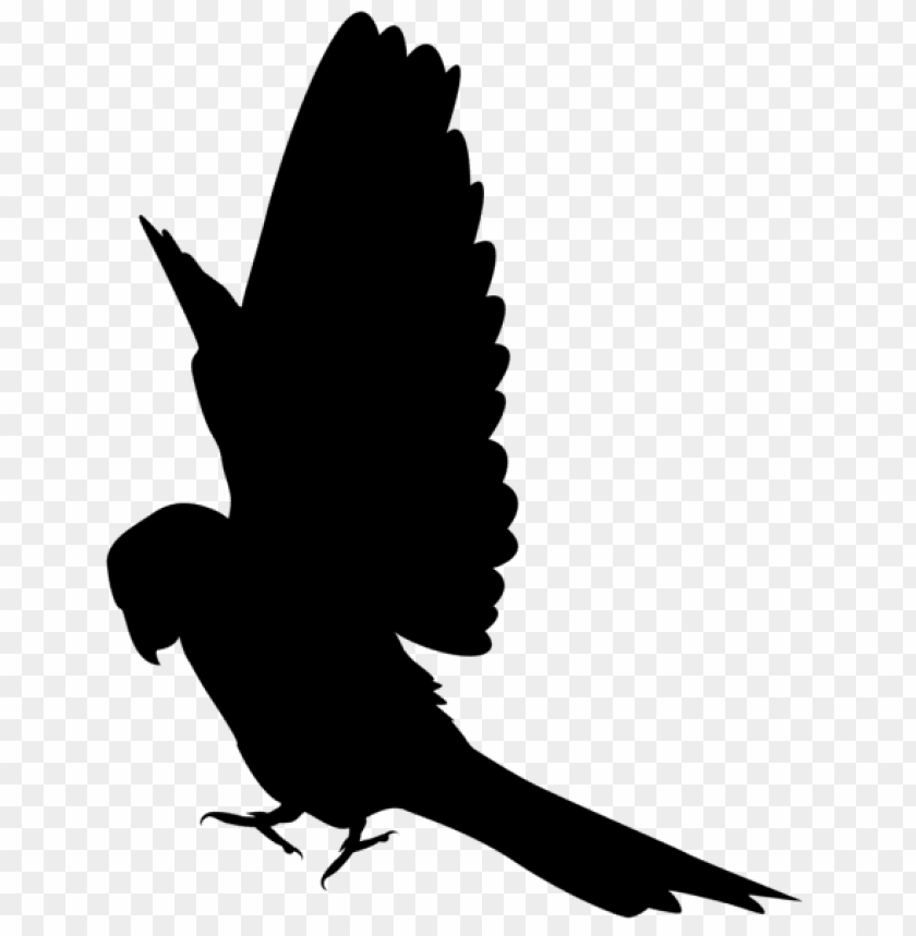 Free download | HD PNG Transparent parrot silhouette PNG Image - ID ...