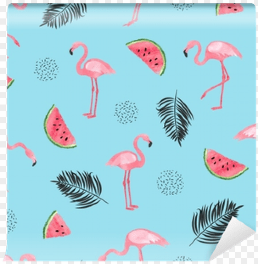 Free download | HD PNG pattern background flamingo tropical PNG ...