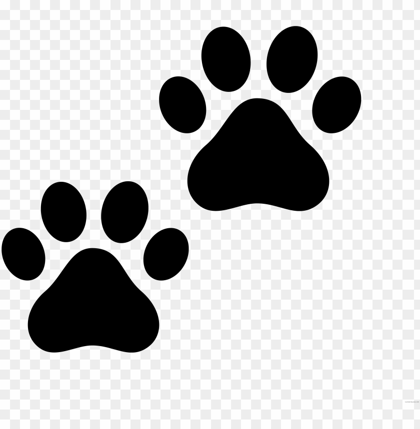 paw print with transparent background