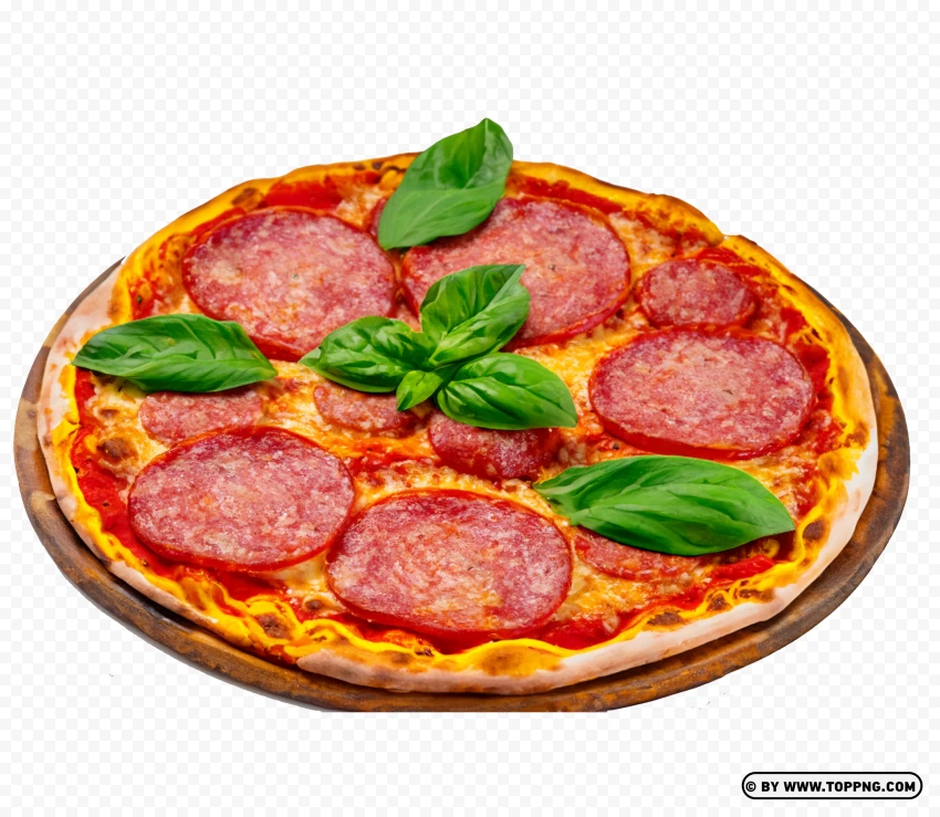 Free download | HD PNG pepperoni pizza round italian fast food png ...