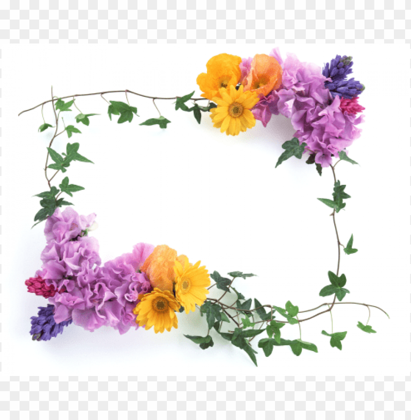 Free download | HD PNG photo frame 254 background best stock photos ...