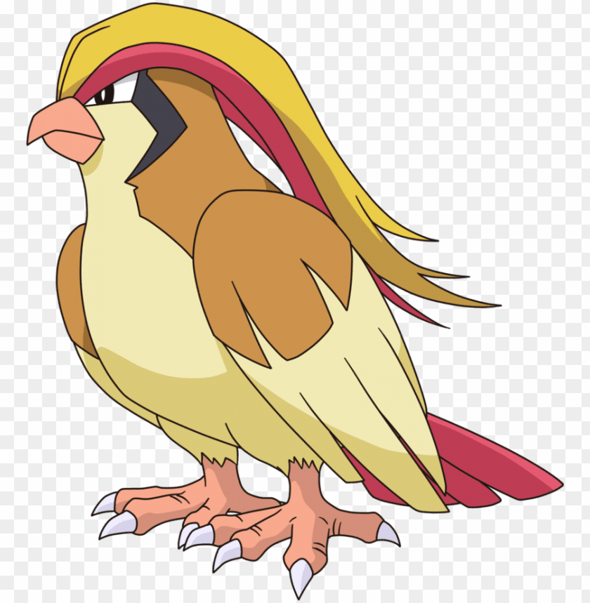 Free download | HD PNG pidgeot PNG transparent with Clear Background ID ...