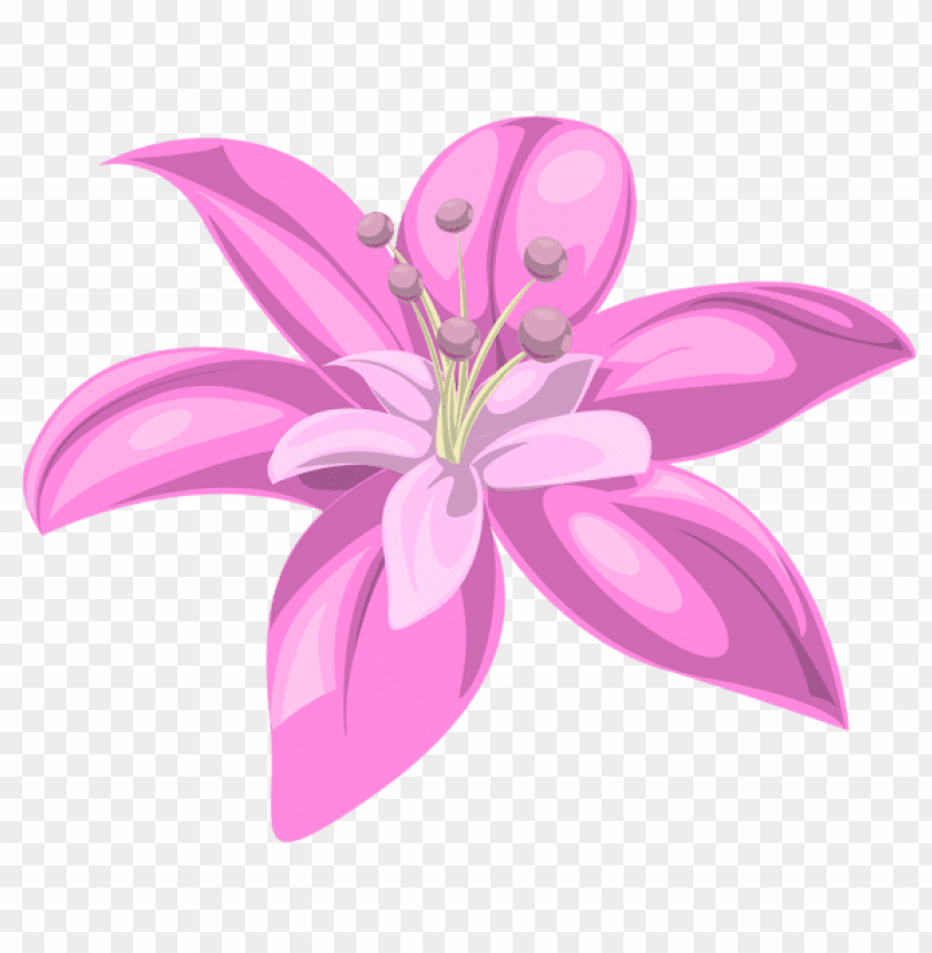 Free download | HD PNG PNG image of pink flower with a clear background ...