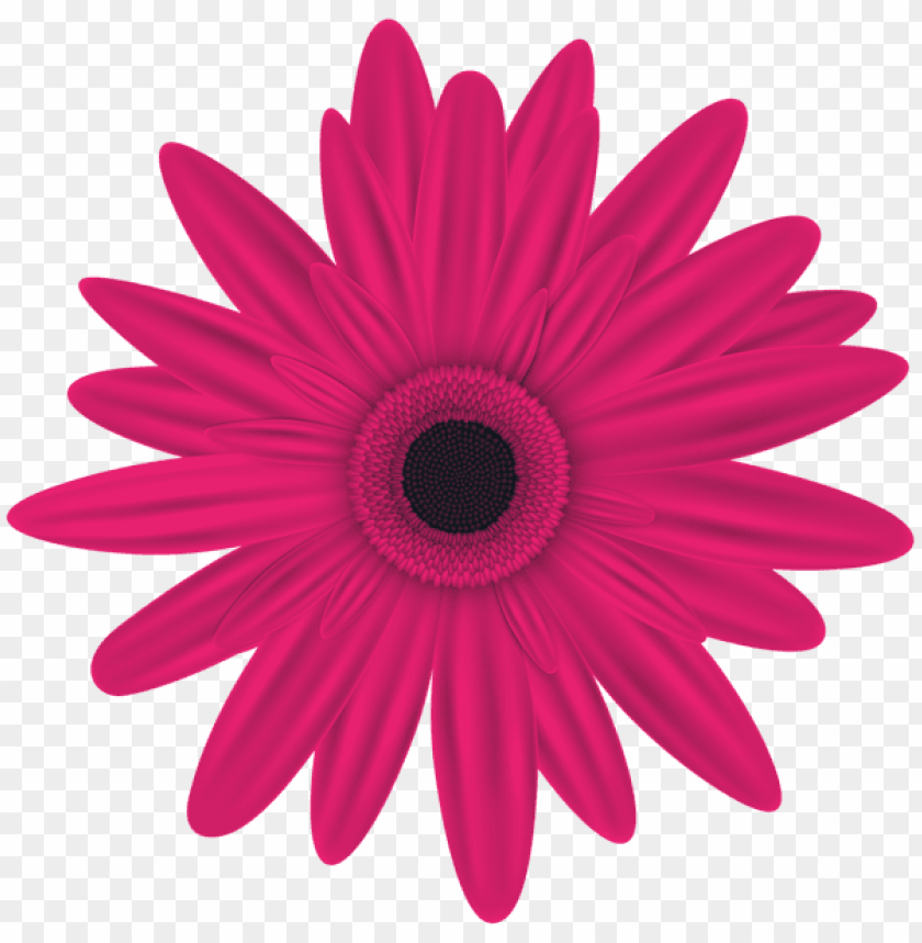 Free download | HD PNG PNG image of pink flower with a clear background ...