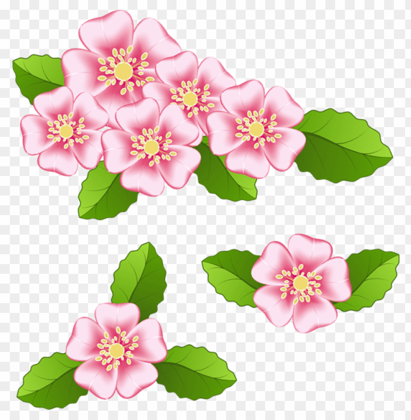 Free download | HD PNG PNG image of pink flowers transparent with a ...