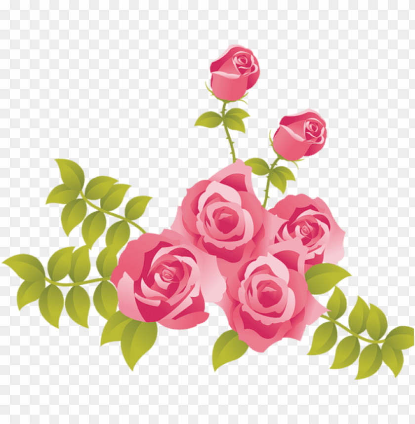 Free download | HD PNG PNG image of pink roses painted picture with a ...