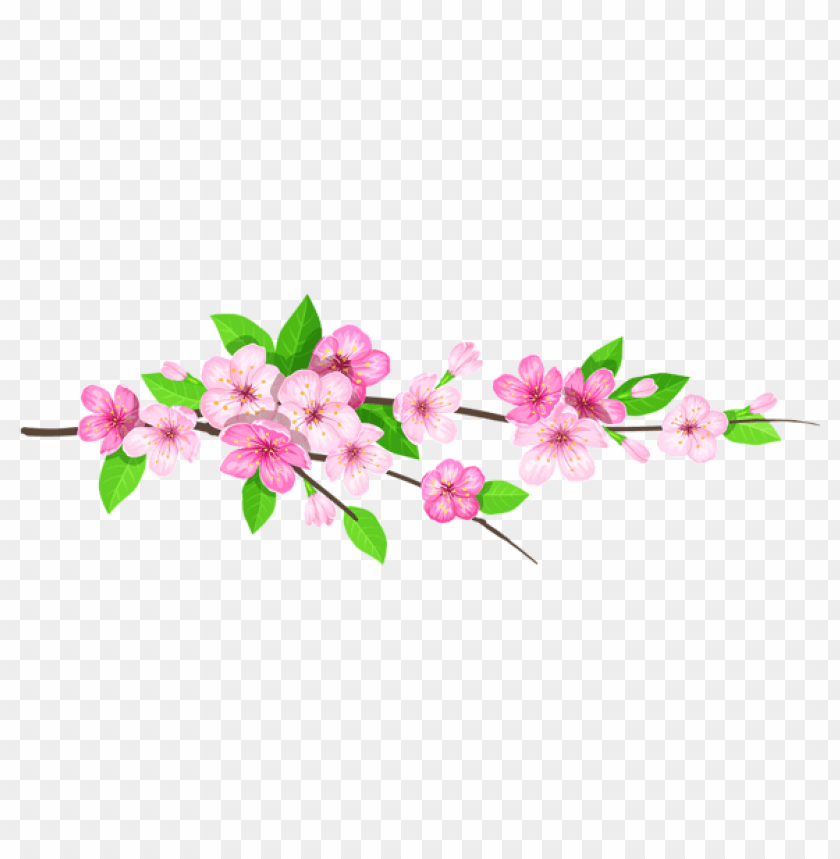 Free download | HD PNG Download pink spring branch png images ...