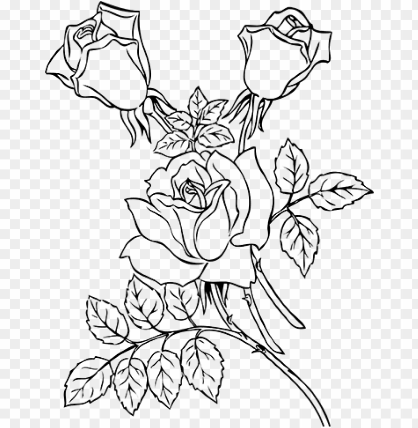 Free download | HD PNG Download png rose outline s clipart png photo ...