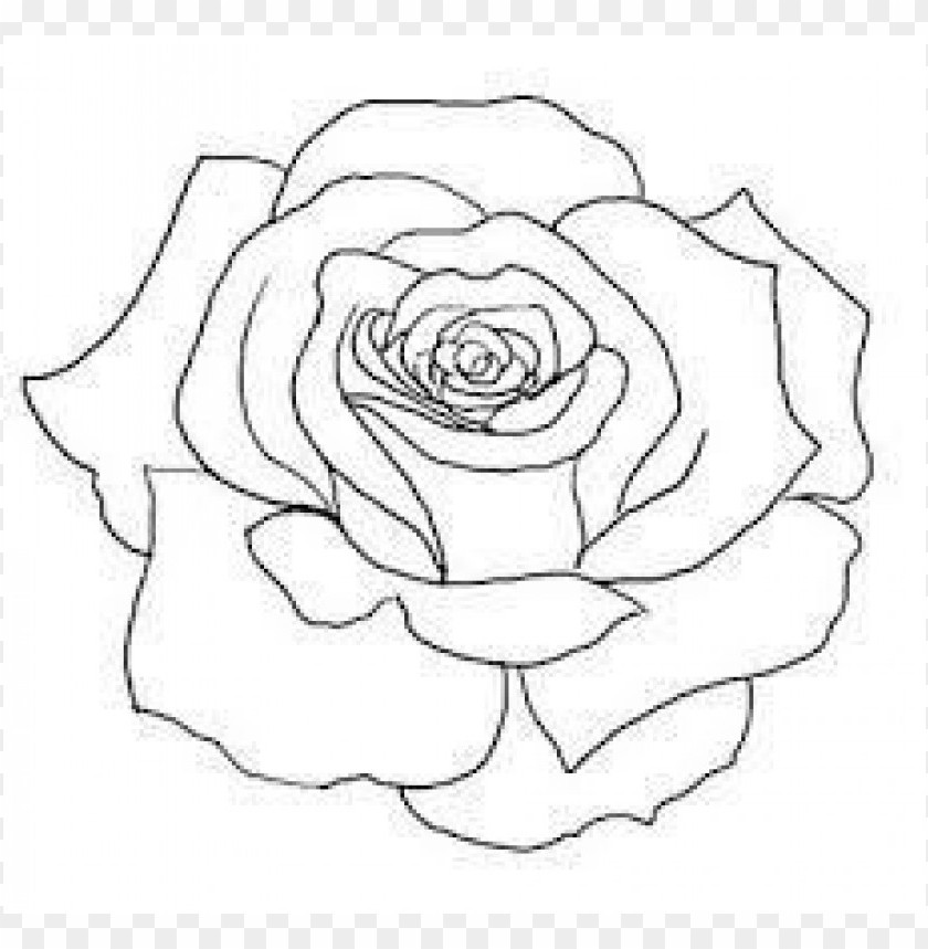 Download png rose outline s clipart png photo | TOPpng