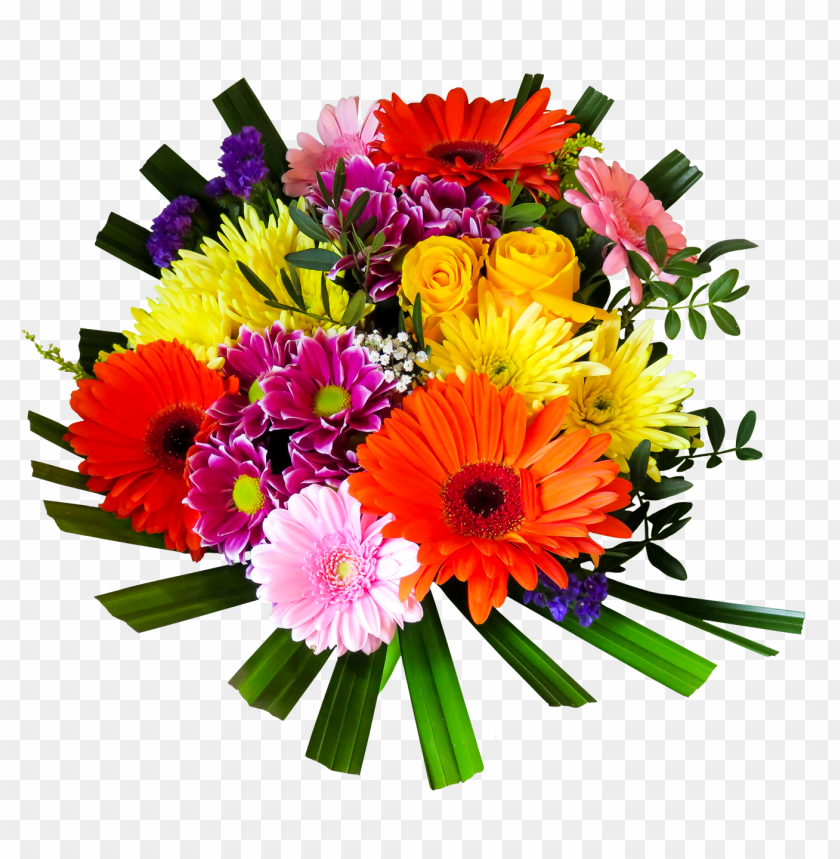 Free download | HD PNG png transparent flowers PNG transparent with ...