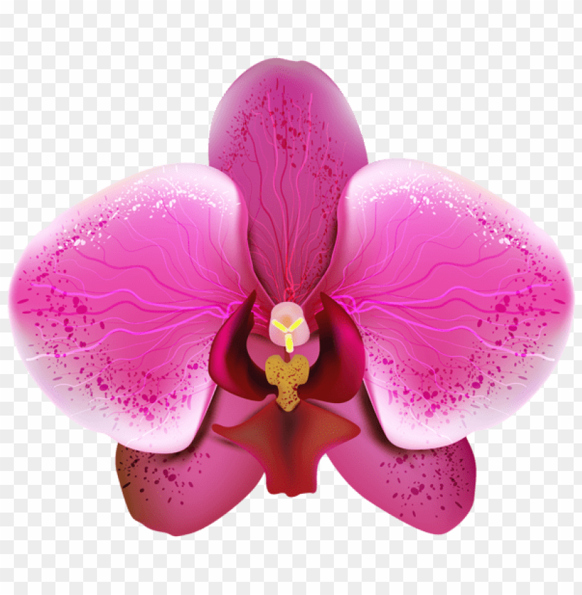 Free download | HD PNG PNG image of pnk orchid transparent with a clear ...