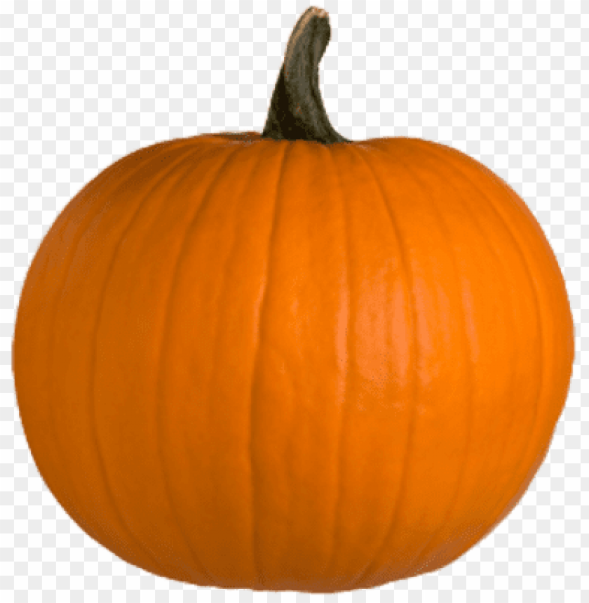 Free download | HD PNG pumpkin PNG transparent with Clear Background ID ...