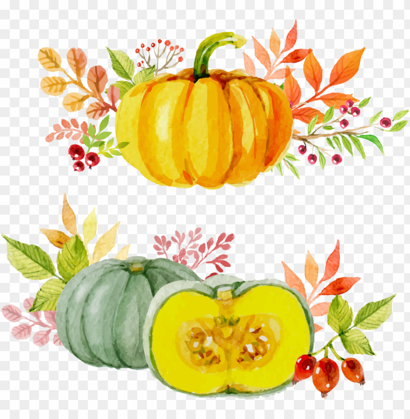 Free download | HD PNG pumpkin watercolor with flowers art fall autumn ...