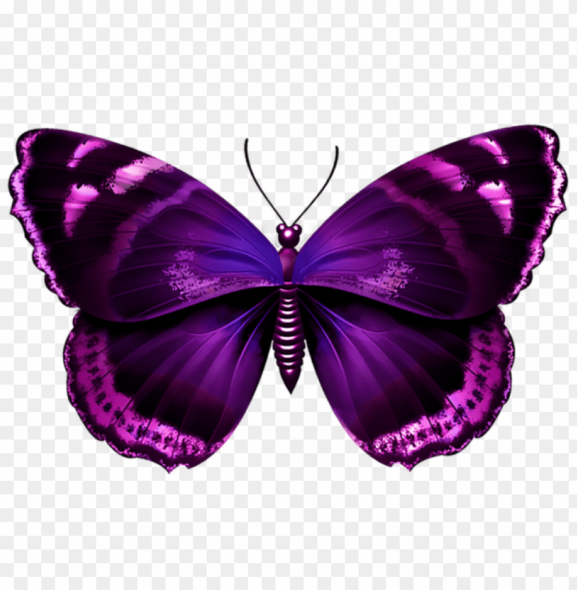 Free download | HD PNG purple butterfly clipart png photo - 47581 | TOPpng