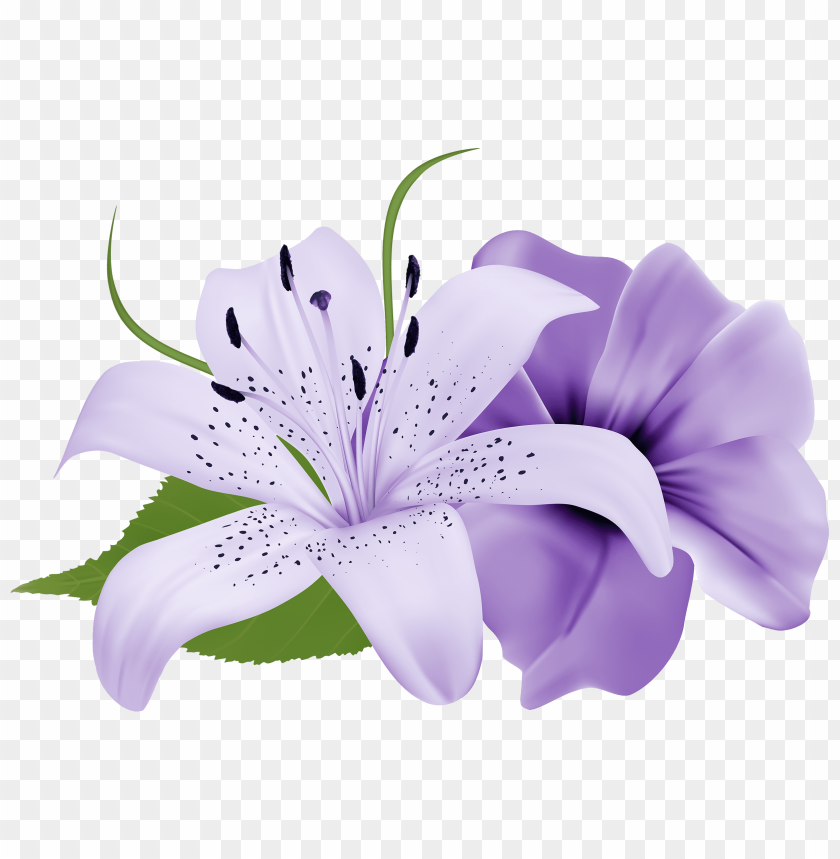 Free download | HD PNG purple deco flowers clipart png photo - 32304 ...