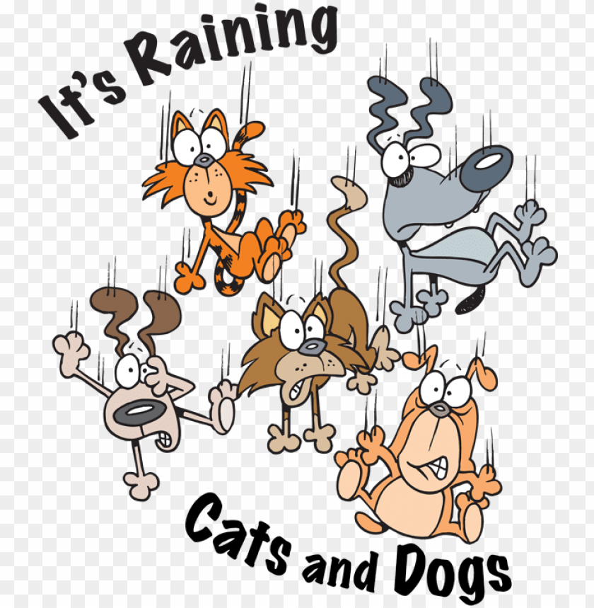 Free download | HD PNG raining cats and dogs clipart raining cats and ...