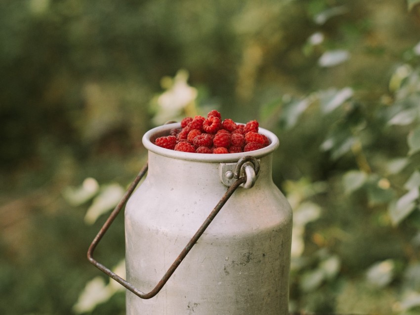 Vintage Milk Can cutout PNG & clipart images | TOPpng