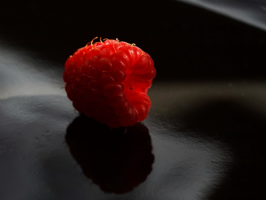 Free Download Hd Png Raspberry Berry Ripe Macro Shadow 4k Wallpaper