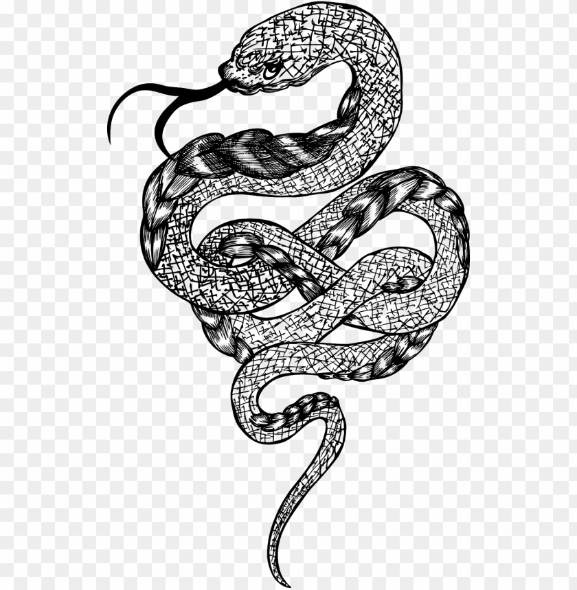 Rattlesnake Cutout Png Clipart Images Toppng